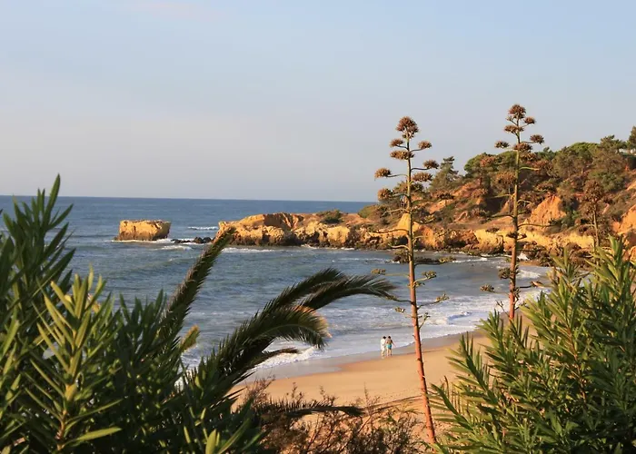 Lägenhet 5 Minutes Walk From The *